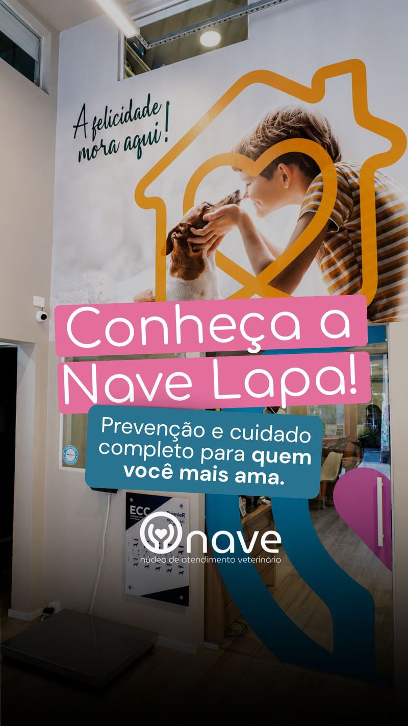 Bem-vindo à Nave Lapa