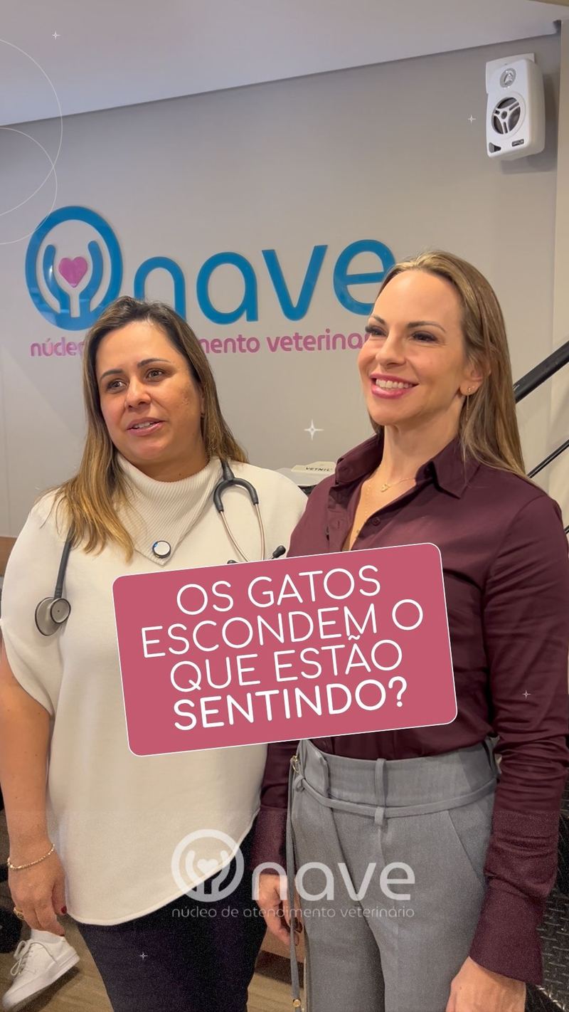 Sinais de dor em filhotes