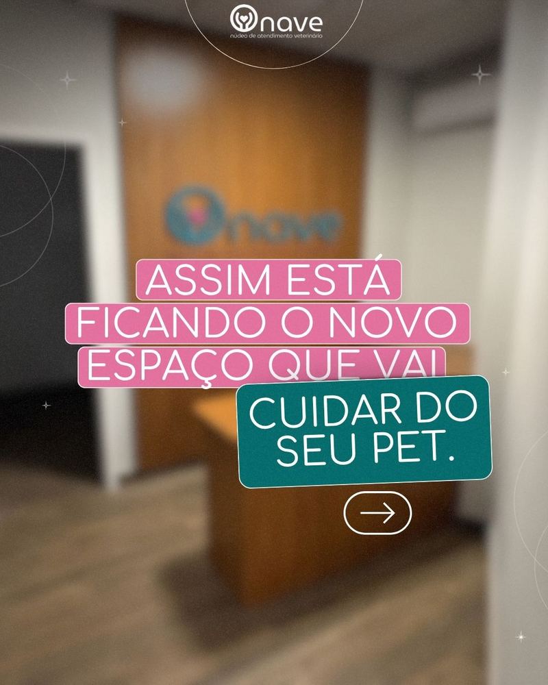 Novo espaço, inauguração 01 de agosto